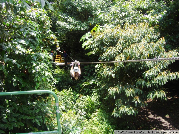 canopy
Arenal
