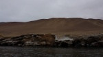 El Candelabro
Candelabro, Paracas, Peru, islas ballestas