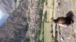 Ollantaytambo (Valle Sarado)