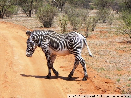 Llegada a Nairobi y PN Samburu - KENIA DOS MUNDOS PARALELOS: EL TURISTA Y EL LOCAL (5)