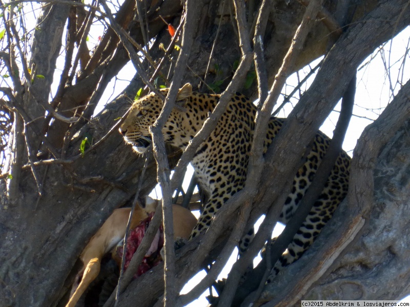 Botswana: ruta del rio perdido