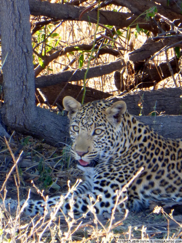 Botswana: ruta del rio perdido