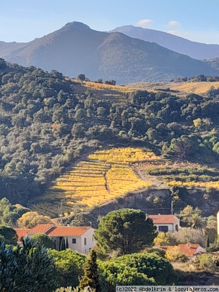 Autour de Collioure
Paisaje otoñal y mediterráneo.
