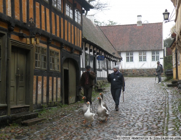 Pastores de ciudad
Los gansos y sus cuidadores son actores que ambientan el museo Den Gamle By (Aarhus)
