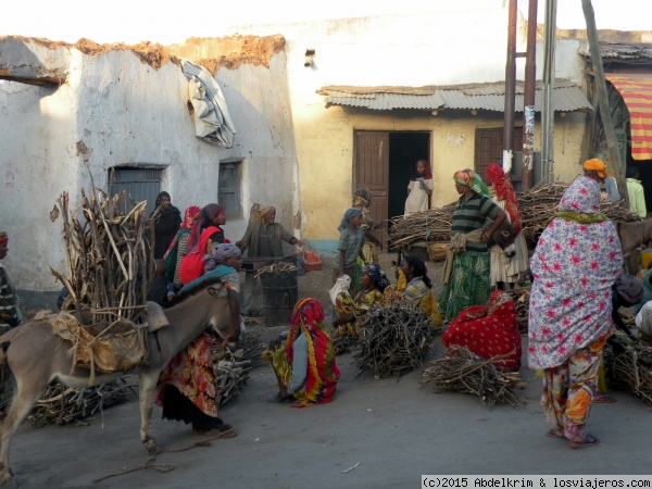 Mercado de la leña I
Muchos habitantes de Harar siguen dependiendo de la leña en su vida cotidiana.
