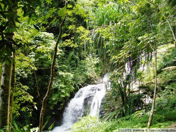 Cascada de Langkawi
Otra de las cascadas
