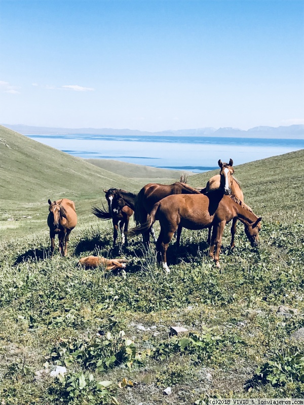 El lago Song Kul - KIRGUISTÁN Y UZBEKISTÁN (1)