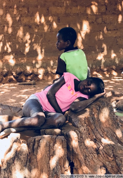 Una siesta
Siesta en un árbol, que siempre apetece
