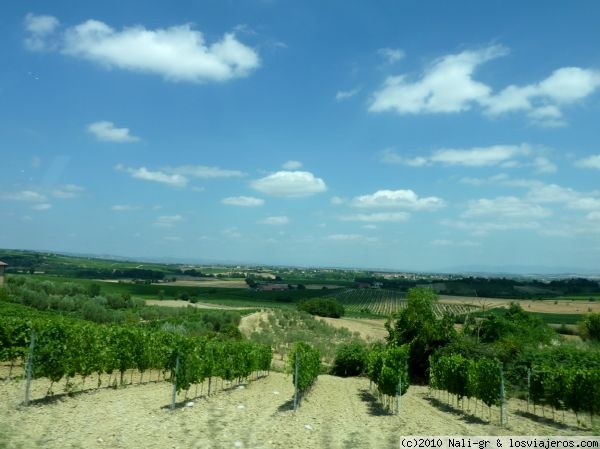 DÍA 3: Siena- Montepulciano- Rocca D´Orcia- Siena - Mis 15 días por la Toscana, el Tirol y Baviera: grandes contrastes. (6)