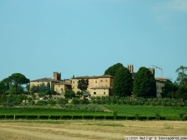 DÍA 3: Siena- Montepulciano- Rocca D´Orcia- Siena - Mis 15 días por la Toscana, el Tirol y Baviera: grandes contrastes. (53)