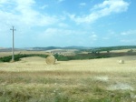 El trigo en la Toscana.
Toscana