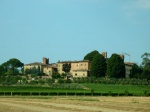 Más viñedos.
Toscana