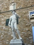 The David of Michelangelo, in P. Signoria.