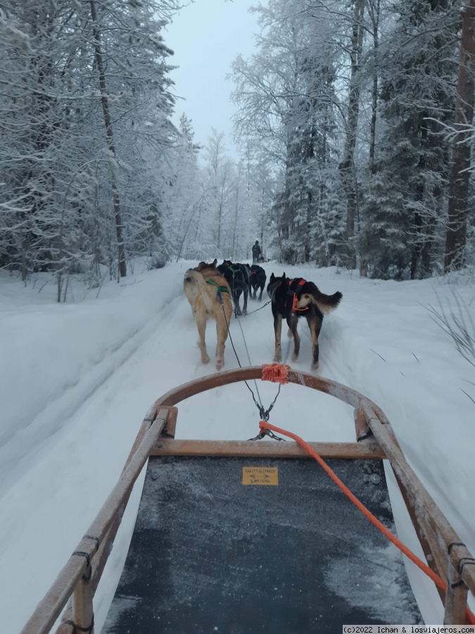 Laponia, 5 días con niños - Blogs de Finlandia - Día 3: Excursión Huskeis (1)