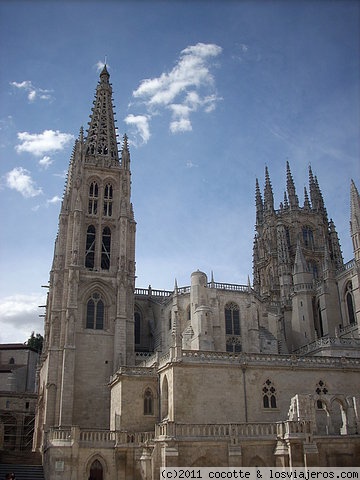 La Catedral de Burgos
La Catedral de Santa María, conocida por el bosque petrificado.
