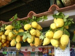 Limones en Capri
