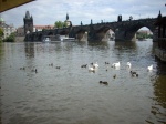 Puente Karlov  ( Praga )