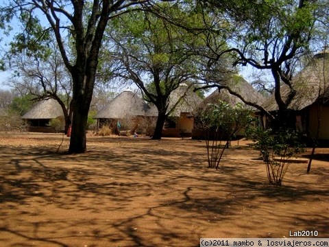 Campamento
Campamento en el kruger park
