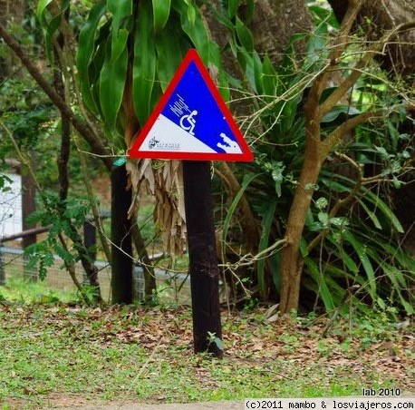 Hatari !!
santa lucia sudafrica
