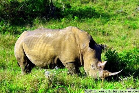 Sudáfrica: Cuatro paisajes para contemplar los Cinco Grandes (2)