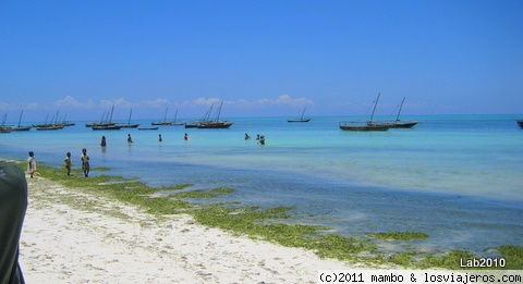 Cantando
las mujeres ,son las unicas que pueden pescar en la playa al atardecer,cantan mientras trabajan
