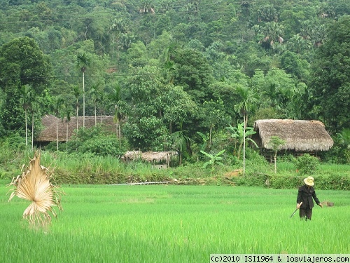 Un paisaje Vietnamita
de camnino a la región de Hagian al norte de  Vietnam
