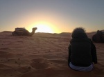 Amanecer en el desierto
marruecos, desierto, amanecer, biovac, jaima, camello