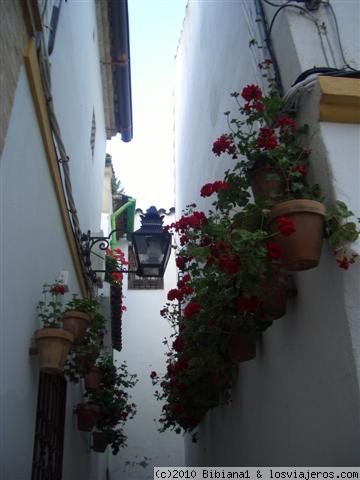 Calleja en Córdoba
Típica calleja en la Judería cordobesa
