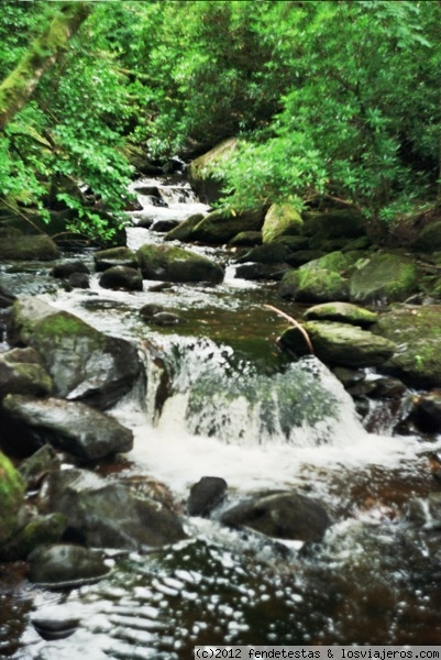 Torc waterfall
Cascada Torc en el Parque Nacional de Killarney, en Kerry (Irlanda)
