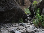 Barranco de Masca 2
Naturaleza montaña Canarias Tenerife