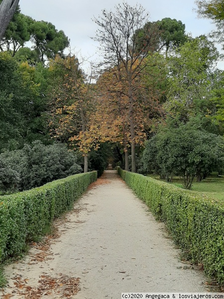 Otoño en el Parque del Retiro-Madrid
Día otoñal en el Parque del retiro, Madrid
