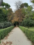 Otoño en el Parque del Retiro-Madrid