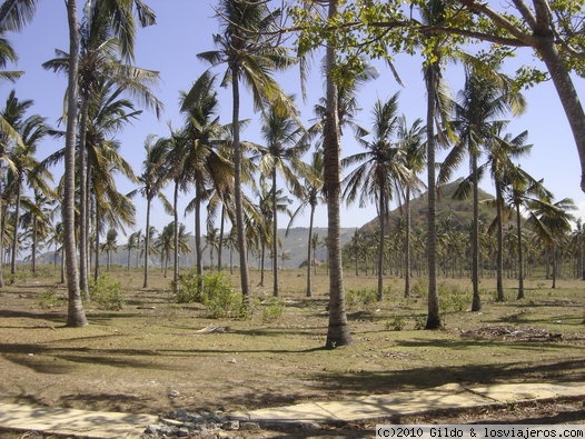 El panorama de los alrededores es este...Lombok
Monolito en la isla de Lombok
