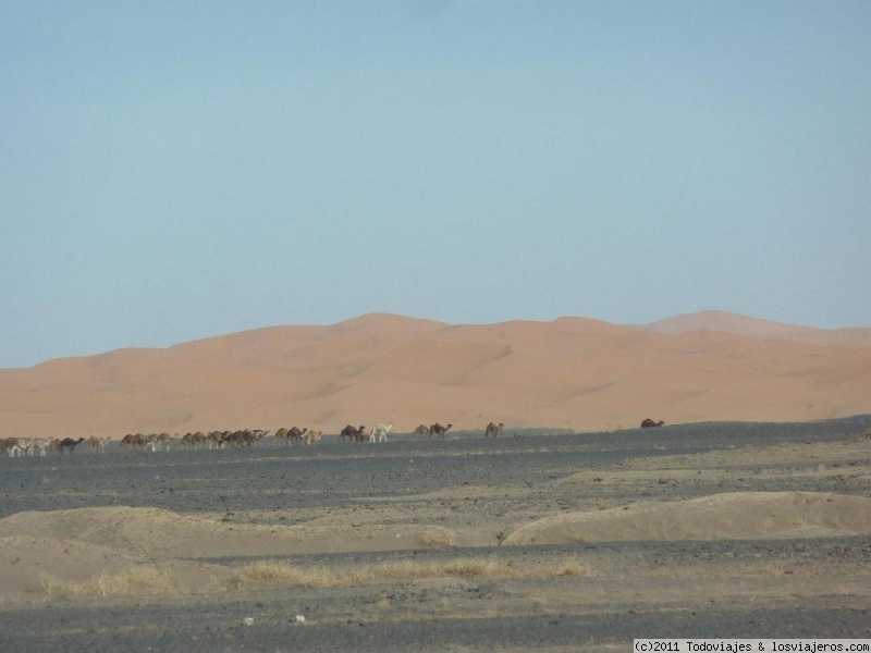 Viajar a  Marruecos: Guia Marruecos Pdf Descargar - Desierto de Merzouga (Guia Marruecos Pdf Descargar)