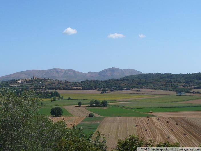 Foro de Tierra De Campos: Campos del Baix Empordà con Torroella al fondo.