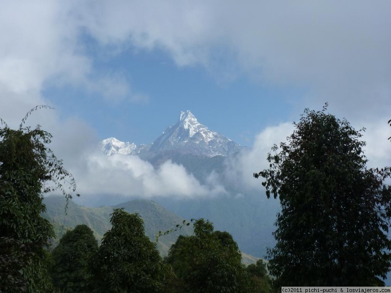 Foro de Nepal: Machapuche entre la neblina ( Annapurna- Nepal)