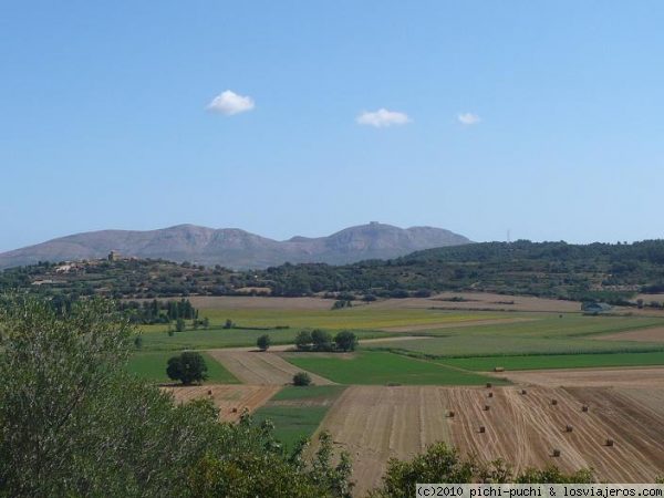 Campos del Baix Empordà con Torroella al fondo.
Las fértiles tierras del Bajo Ampurdan son buenas para el conreo de frutales, viña, arroz... En esta vista aparece al fondo una colina con el castillo de Torroella de Montgrí en lo alto.
