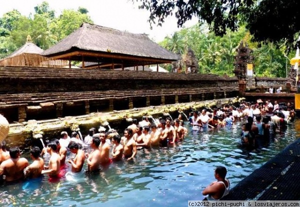 Balineses purificandose en Tirta Empul- Bali
Balineses purificandose en las aguas sagradas de las piscinas del Templo Tirta Empul, Bali
