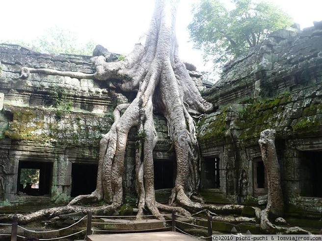 Forum of Siem Reap: Templo Tha Phrom.