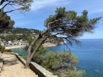 Camino de Ronda Calella a Llafranc
Camino de ronda, Costa Brava, Calella, Llafranc