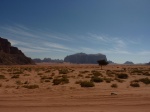 Arena roja del Wadi Rum