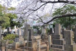 Cementerio Yanaka 6