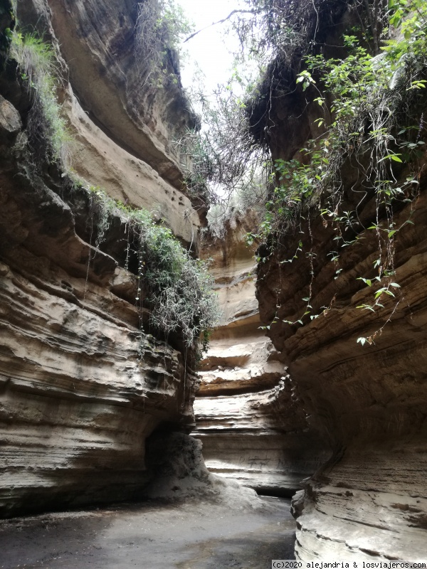 Un poquito de Kenia: Lagos Naivasha y Nakuru, Samburu y Masai Mara - Blogs de Kenia - HELL’S GATE NATIONAL PARK (7)