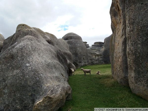 Elephant Rocks
Voluminosas piedras en Maerewhenua Valley, cerca Duntron
