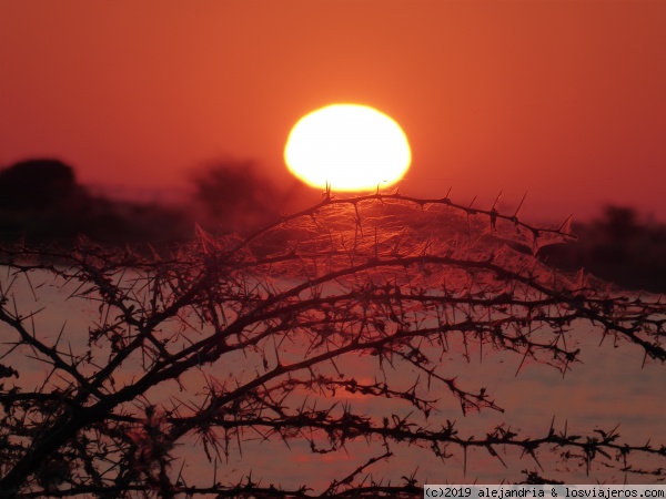 Telaraña enrojecida
La telaraña parapeta la maravillosa puesta de sol africana (Santuario de aves de Nata)
