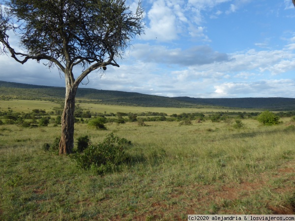 Bonito paisaje, bonita luz
Masai Mara
