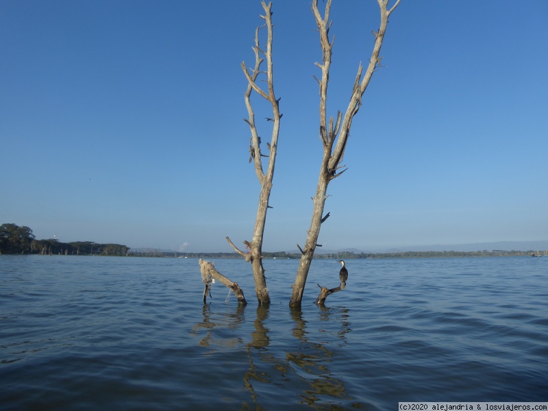 Safari a pie y Crescent Island, Naivasha - Kenia