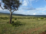Bonito paisaje, bonita luz
Bonito, Masai, Mara, paisaje, bonita
