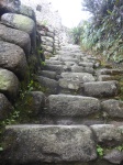 Escaleras a Huayna Pichu
Escaleras, Huayna, Pichu, muerte