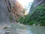 The Narrows
Narrows, Virgin, Zion, río, través